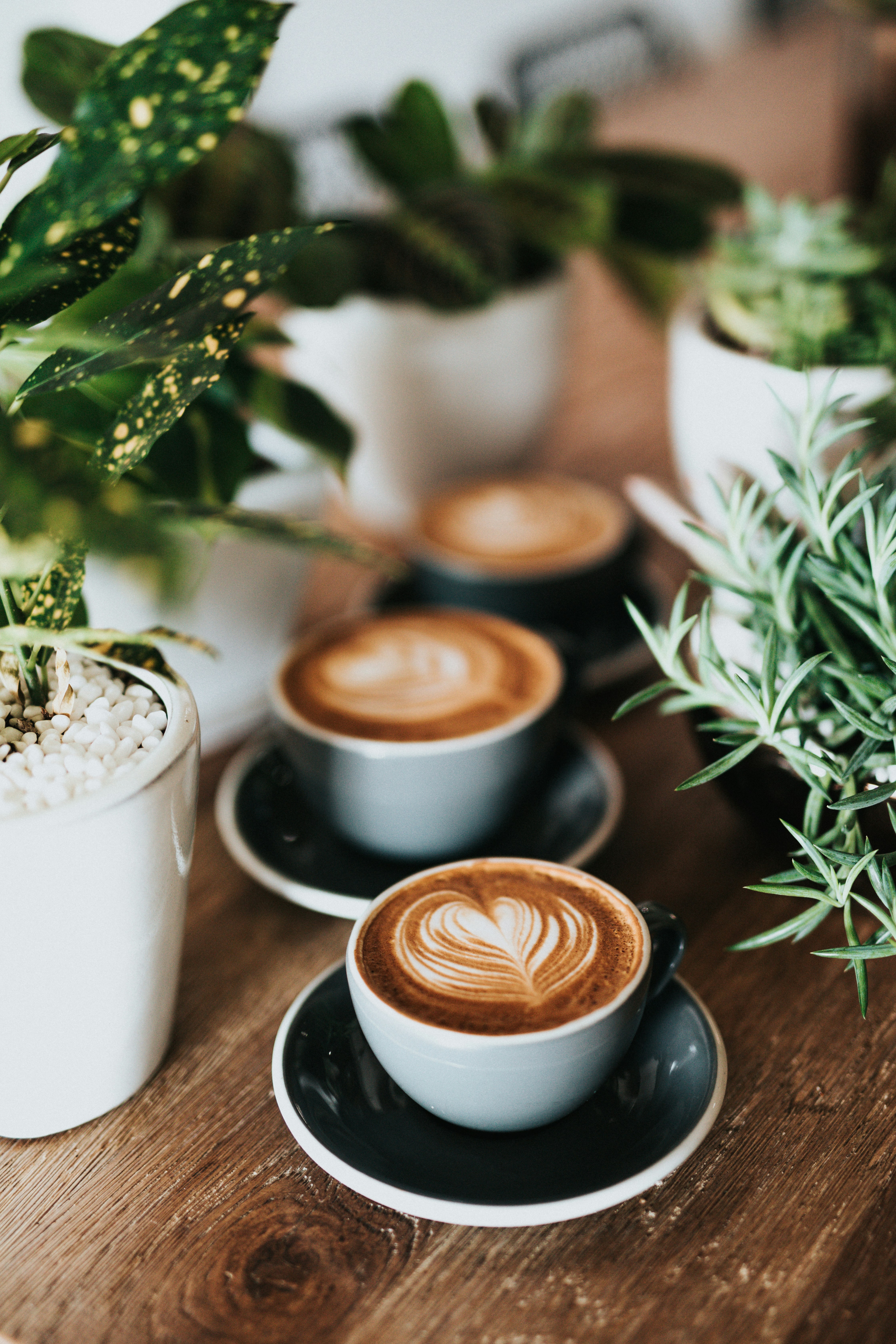 Happiness, freshly brewed.